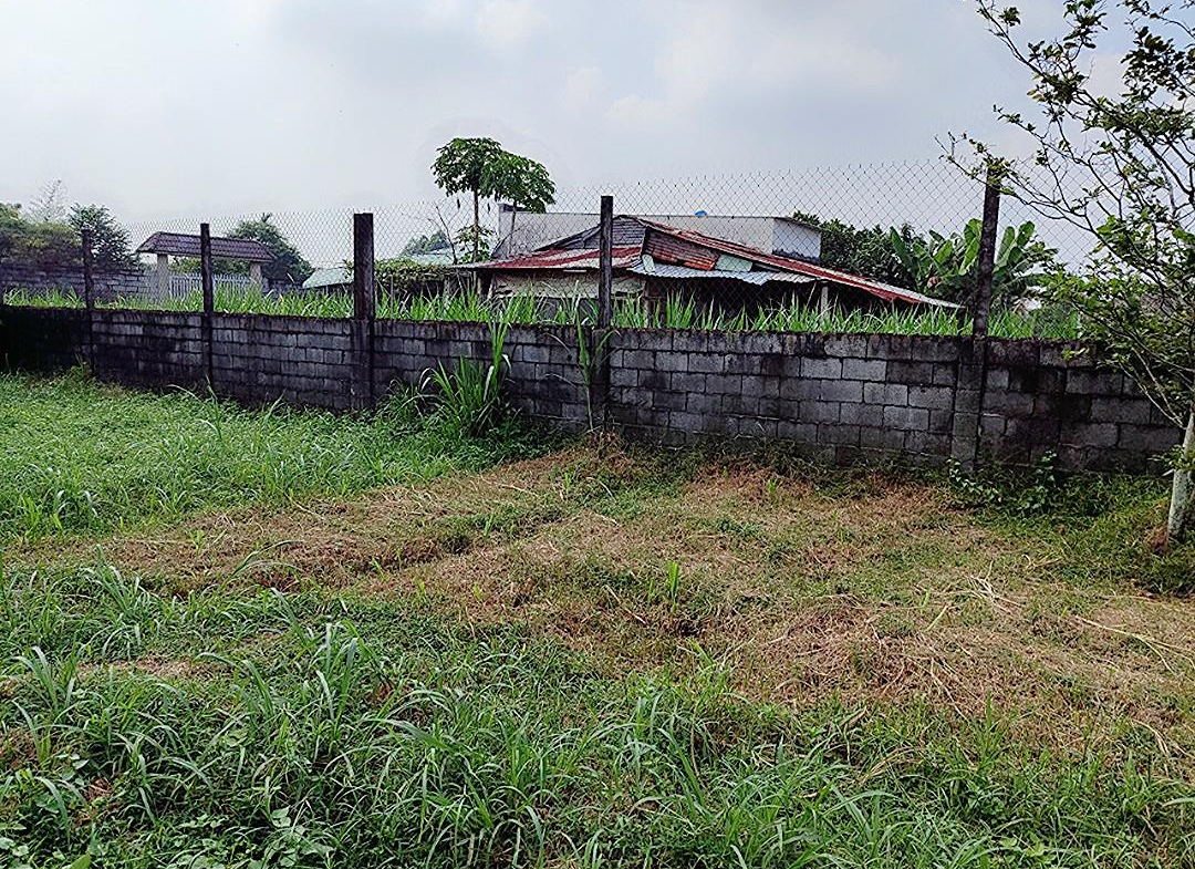 z4965726555070_9430c273e4fd9f3d5ed20d13811a7e52