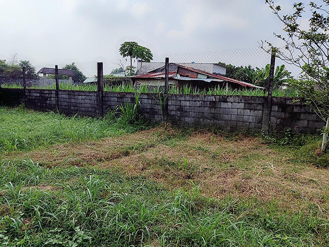 z4965726555070_9430c273e4fd9f3d5ed20d13811a7e52