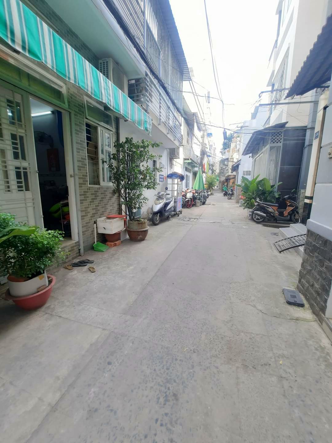 z5016960139102_509a39b196338cc641cb62a5810961d3