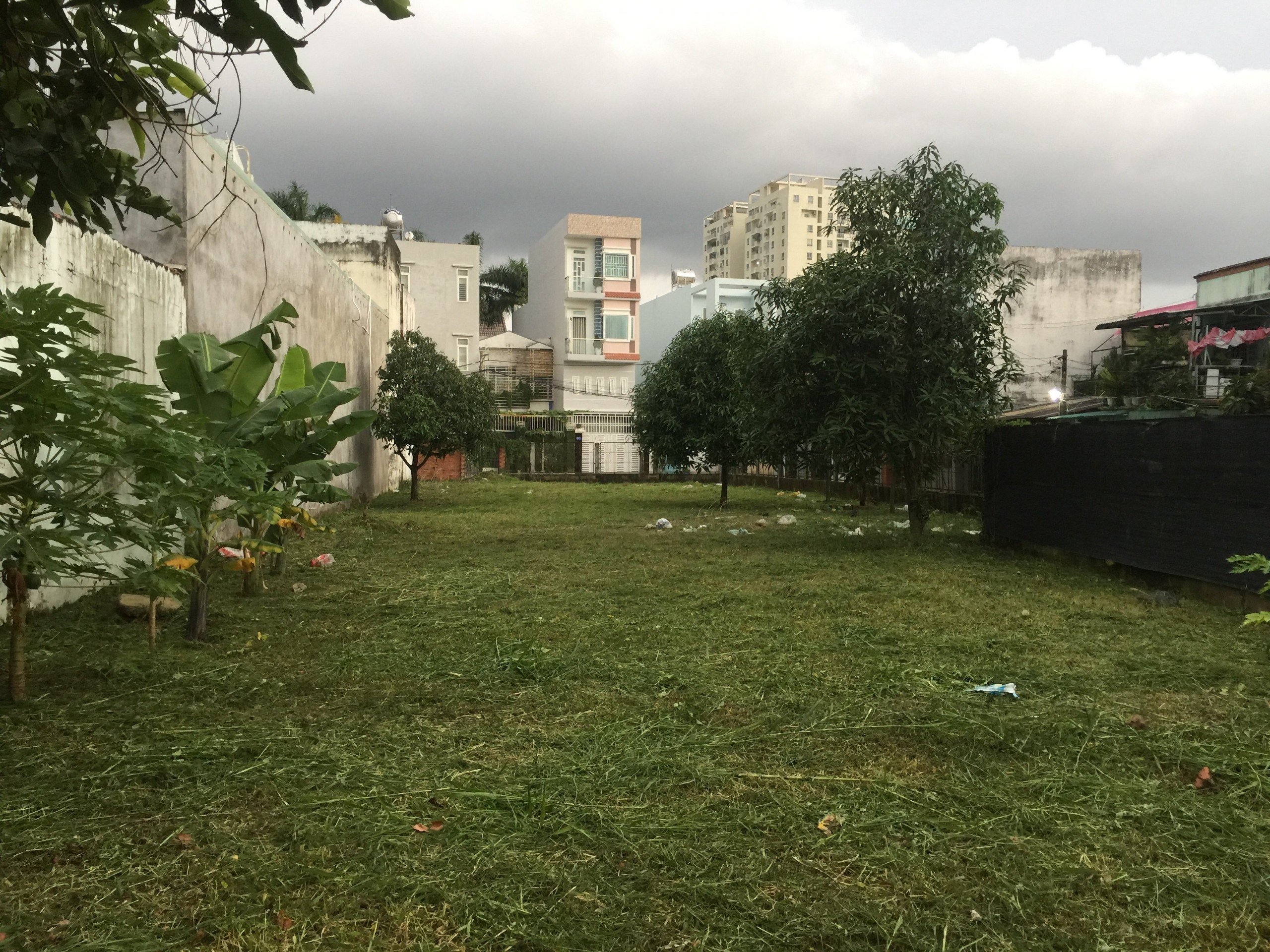 z5163211758625_299f7433c447e56089dff04f75fb572c