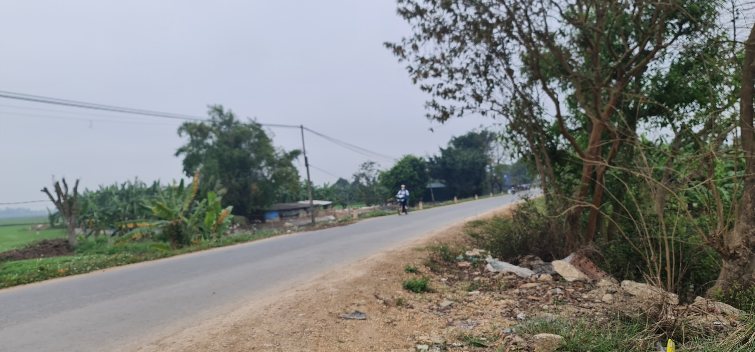 z5175948107014_978000dca3702181b72eb9b723a67cd5