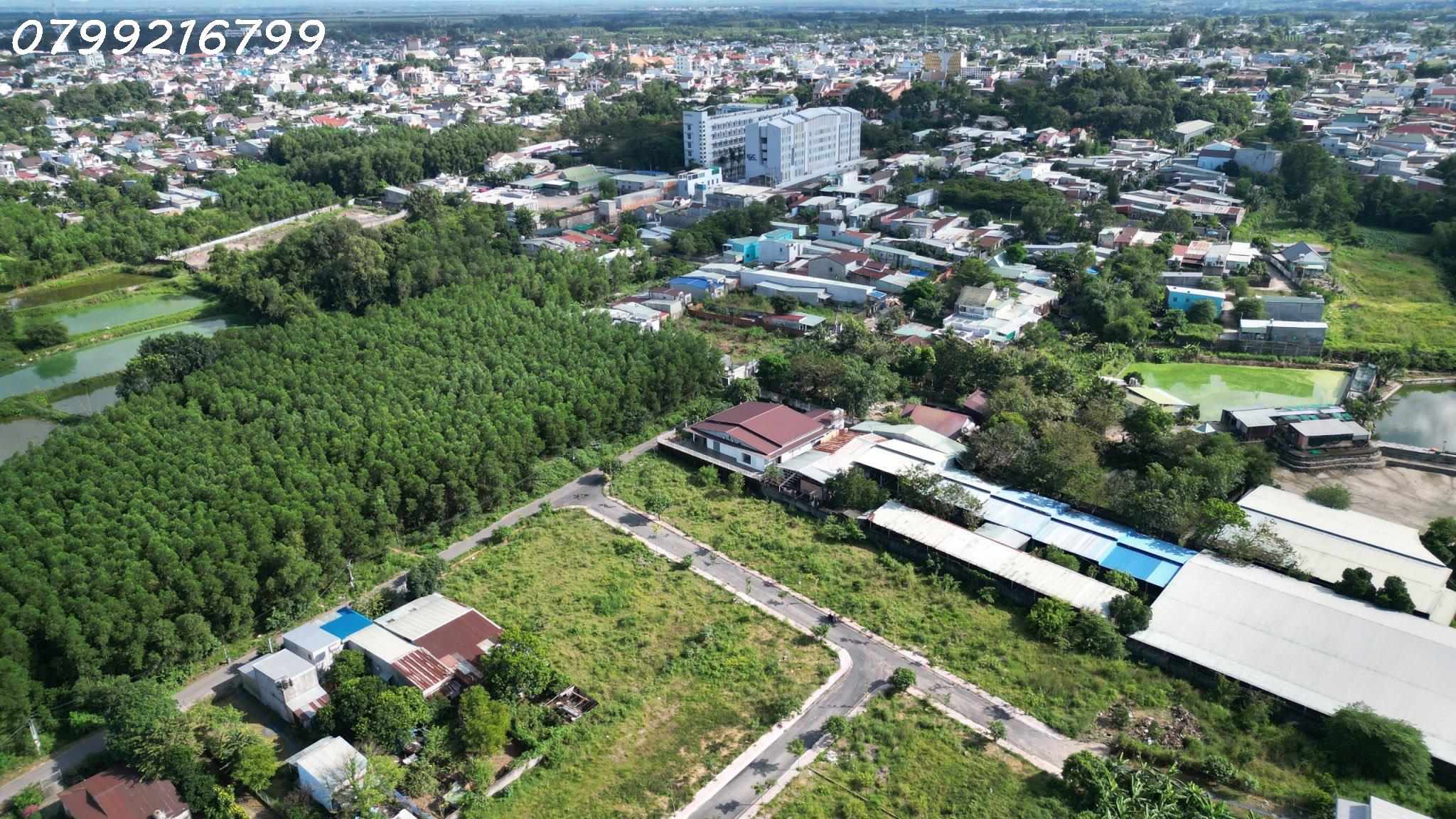 z5197183763925_7cd355d61cb51c4a46641db38598193c.jpg_bak_638447982392907729