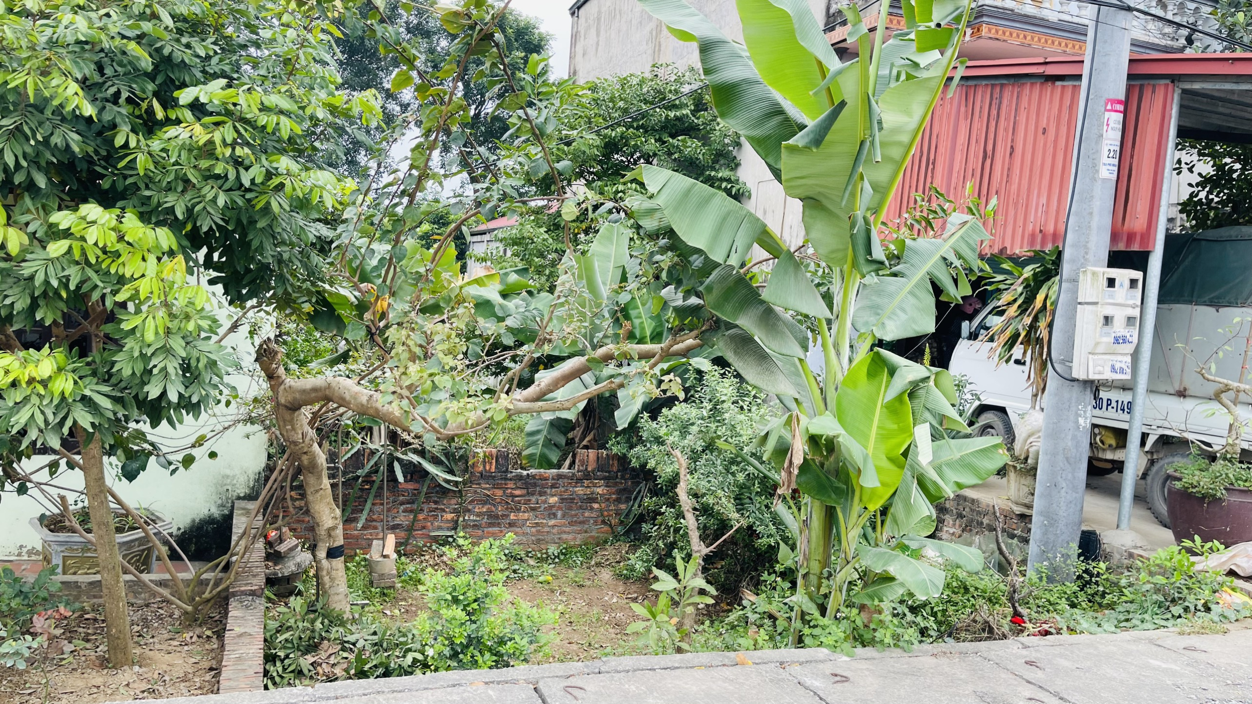 z5203680182217_844674144a391de735b98e6ae5b4a0bc