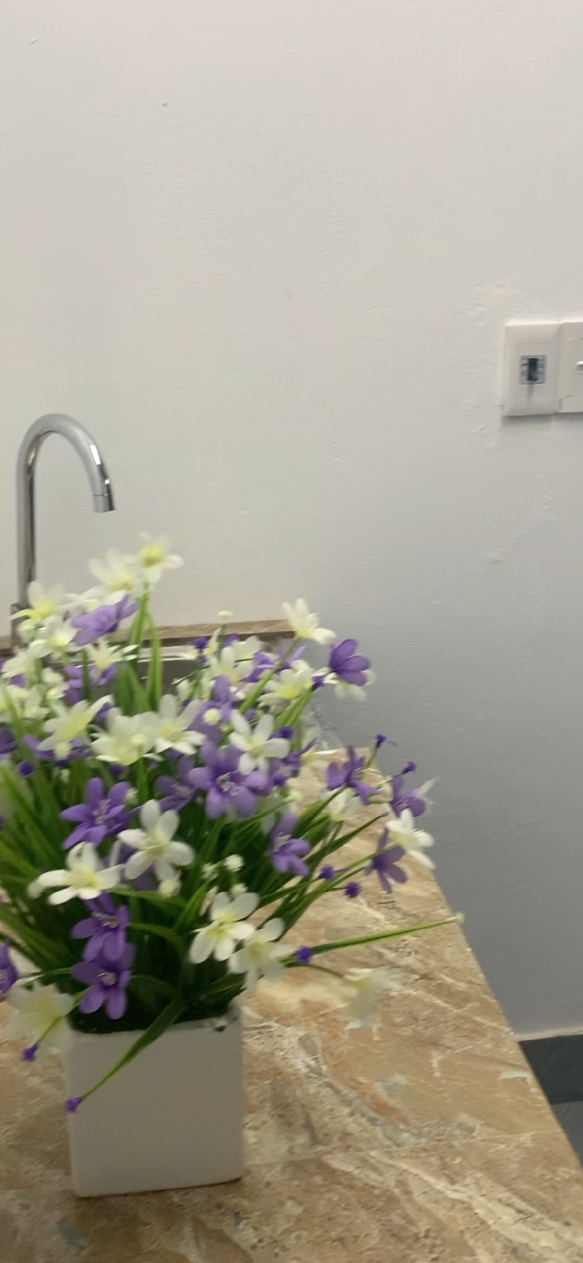 z5205597075542_5a8c82c161caaca65b41d76b6d96d738