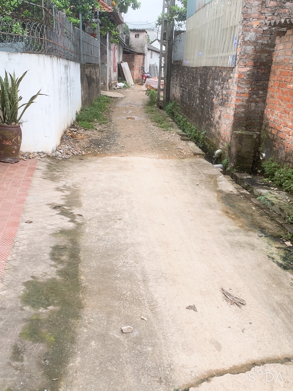 z5206085750838_b995d571a57d6fb6c1c1821e9ef5f02c