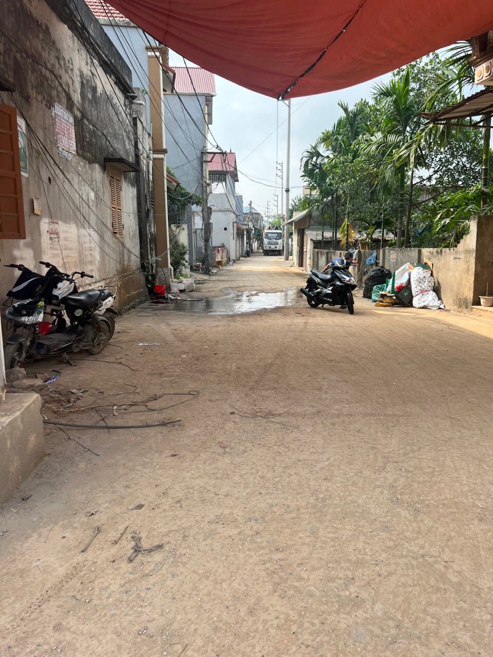 z5216020282517_75eec7e42b3ef680105d101eadd0a755