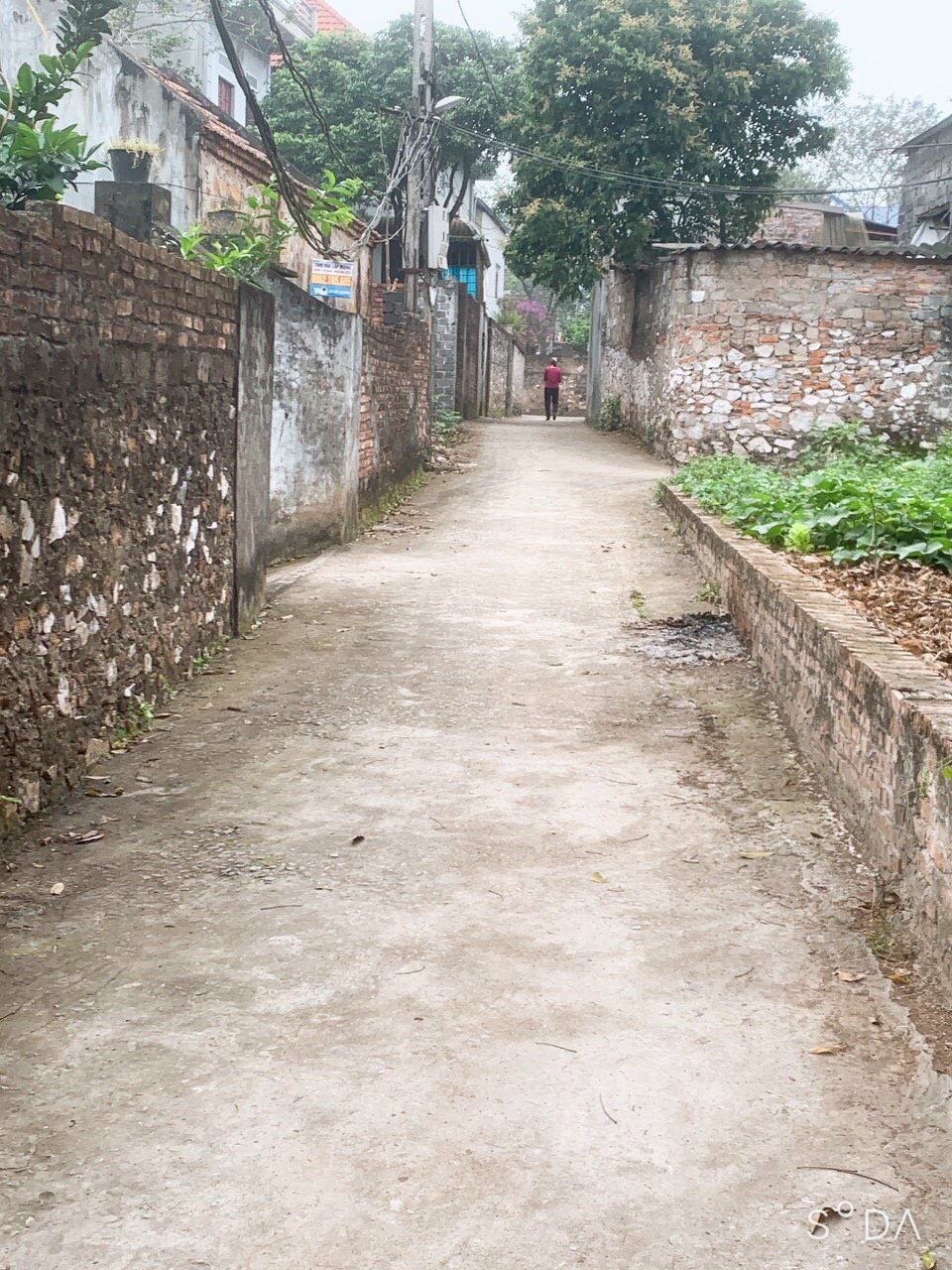 z5221233001933_0b0ee94d97c79e54facbb9a8433af75d