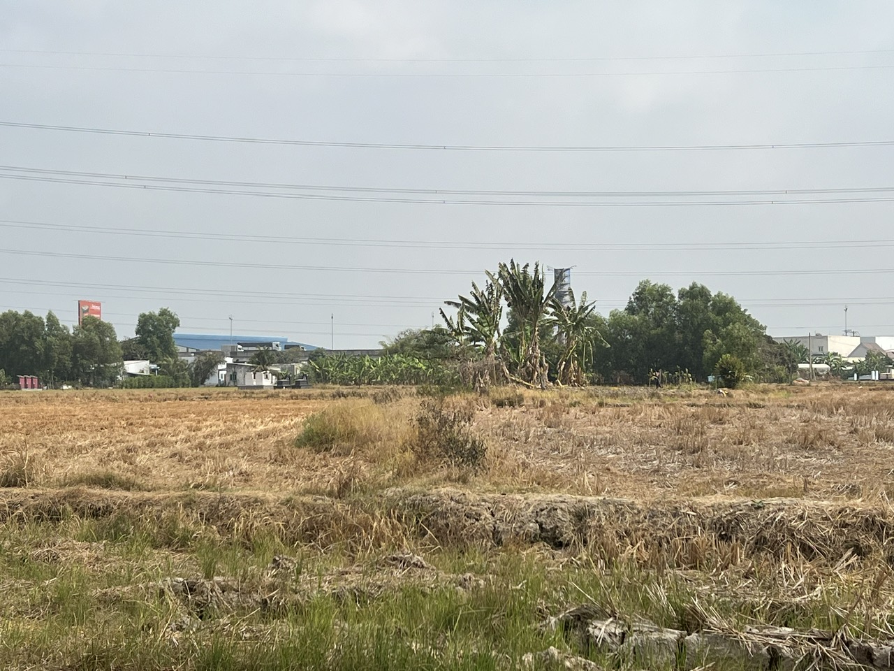 z5221393748028_9c93693aa643a33f788230207e4014ec