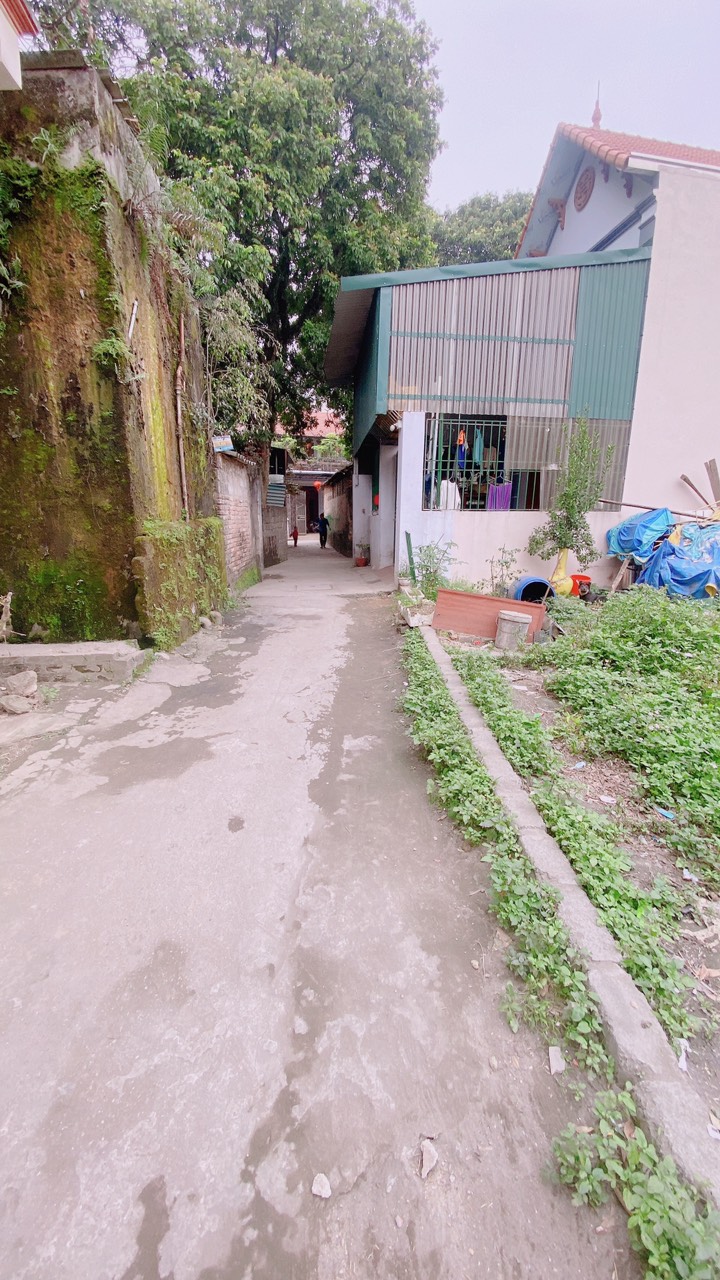 z5226331852402_5600decbf72b14a0b59480aa38be2a52