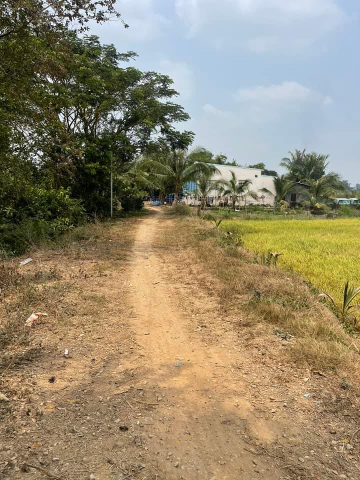 z5231813335149_1f27cafa6161c4682d9726b9697756b5