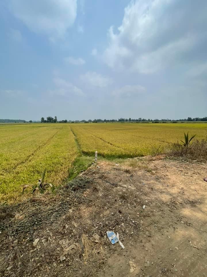 z5231813347010_7fb40ff30e2050a6533c5ca382a036de