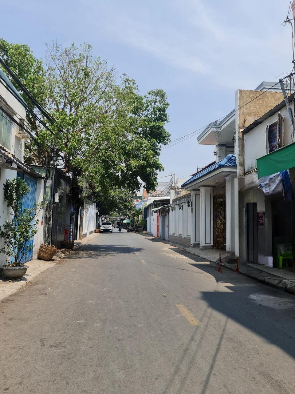 z5232425285084_dc83a4979ce41691289932a27d7f921c