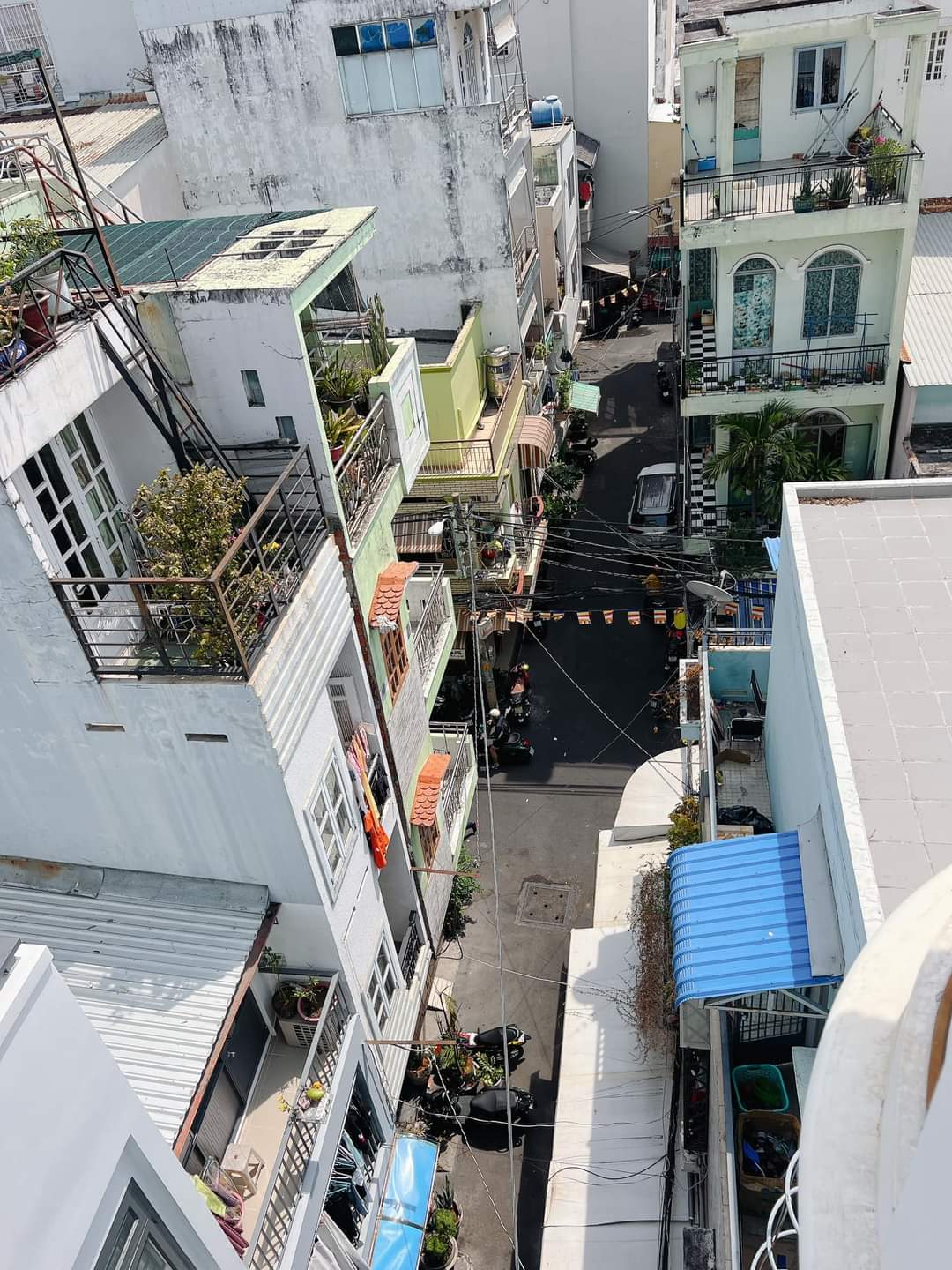 z5236147467570_c1f8380088d9c843bbd3170f2022f590