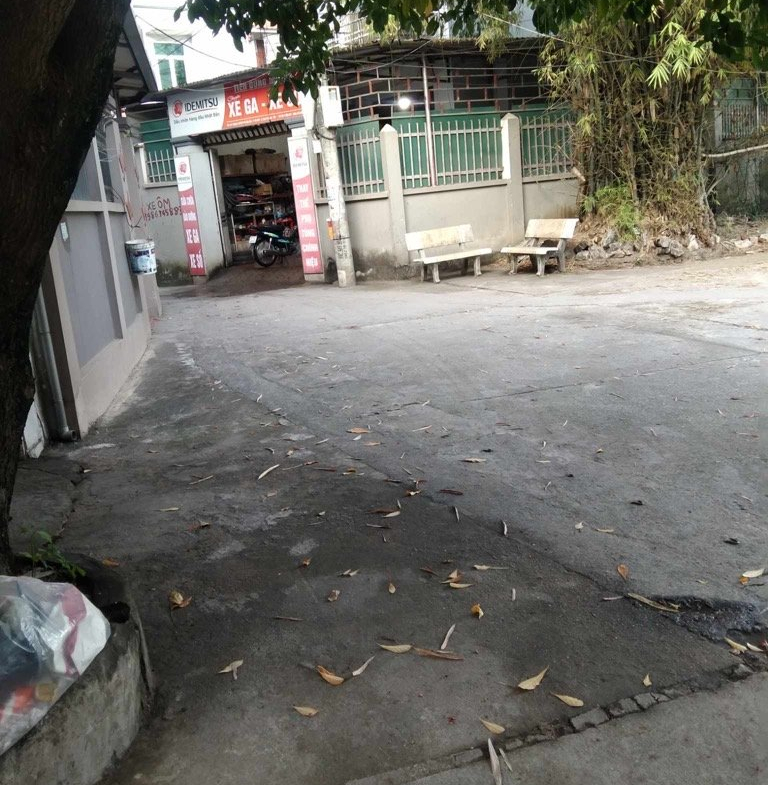 z5237502241490_00a026859e48330c58cc689499ed2719