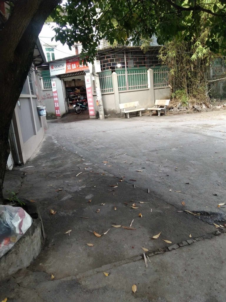 z5237502241490_00a026859e48330c58cc689499ed2719