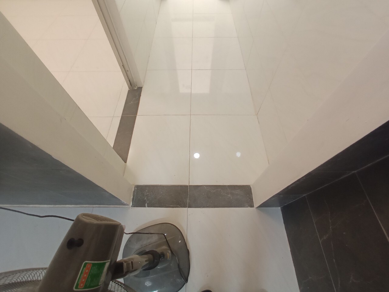 z5238767866319_92061d192e34824a39f98e74207e9159