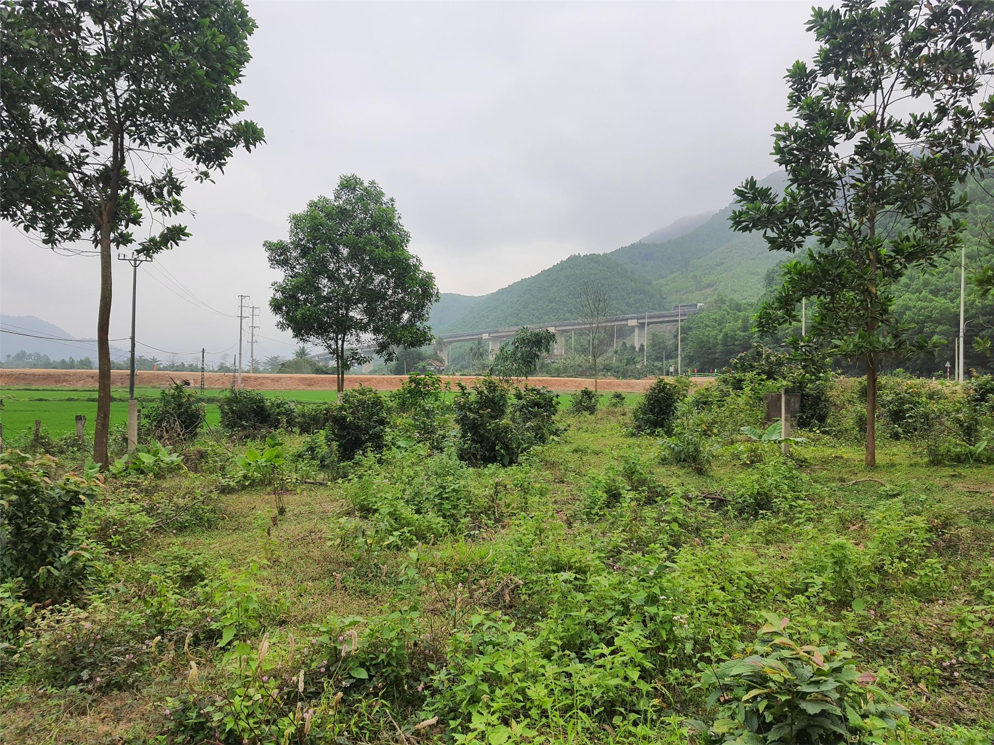 z5239307881167_e5a36d595f3a240d1fc2e6864e5998fb