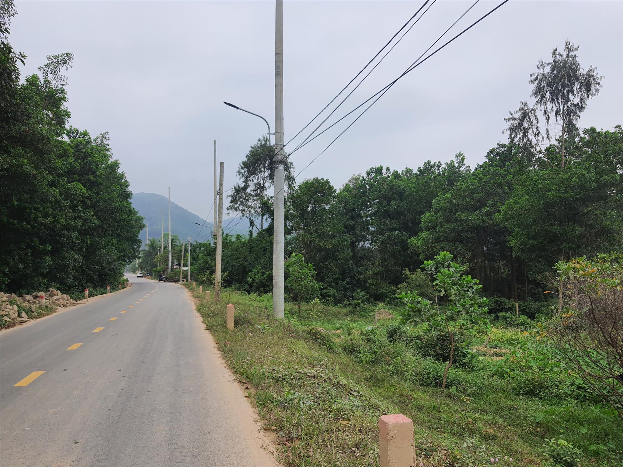 z5239307919254_8334c6c8468d8d3e38febf75d13bb3ea