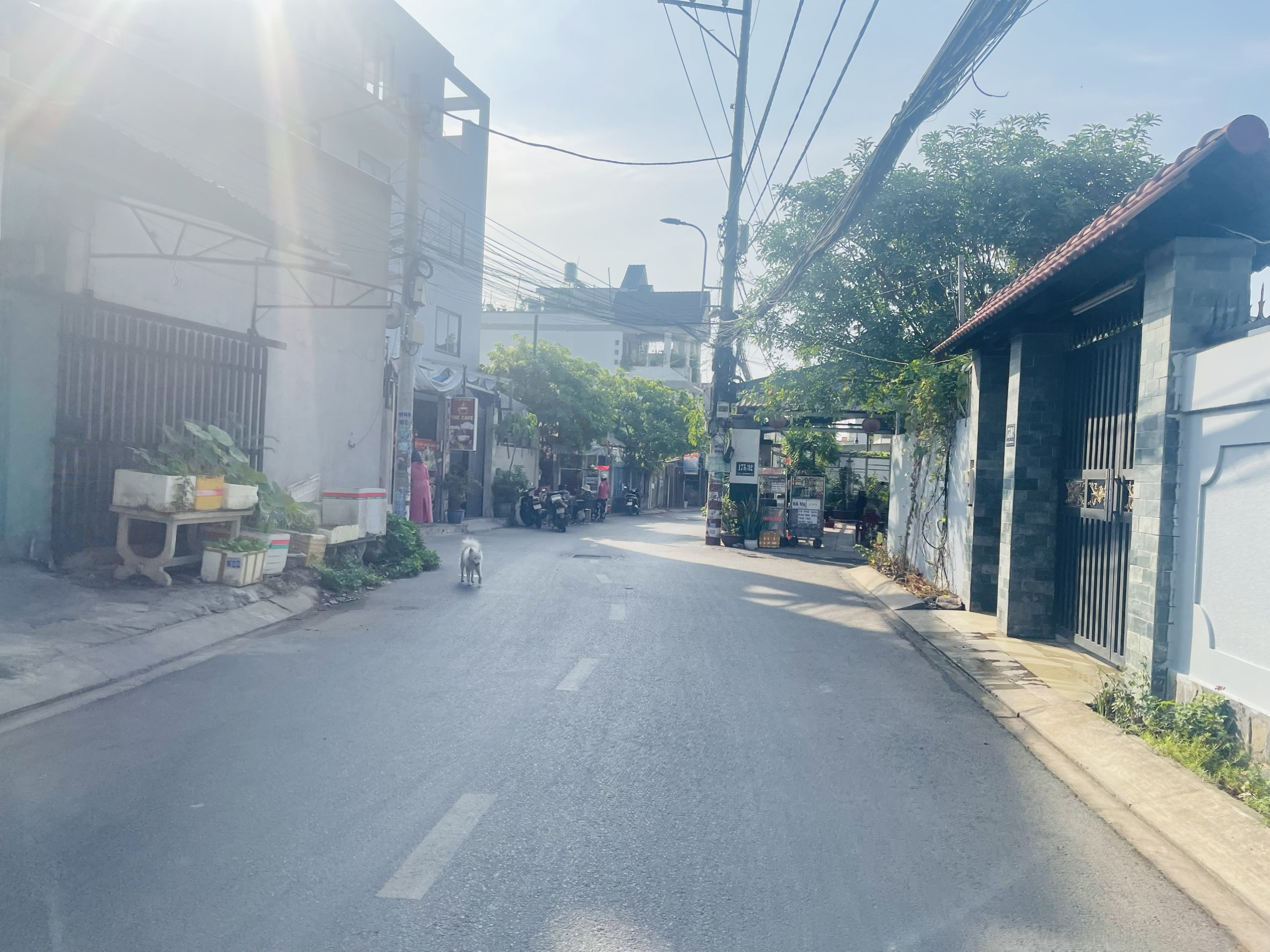 z5240856744730_8a709ca3fb2d0ef723460b080a870f2b