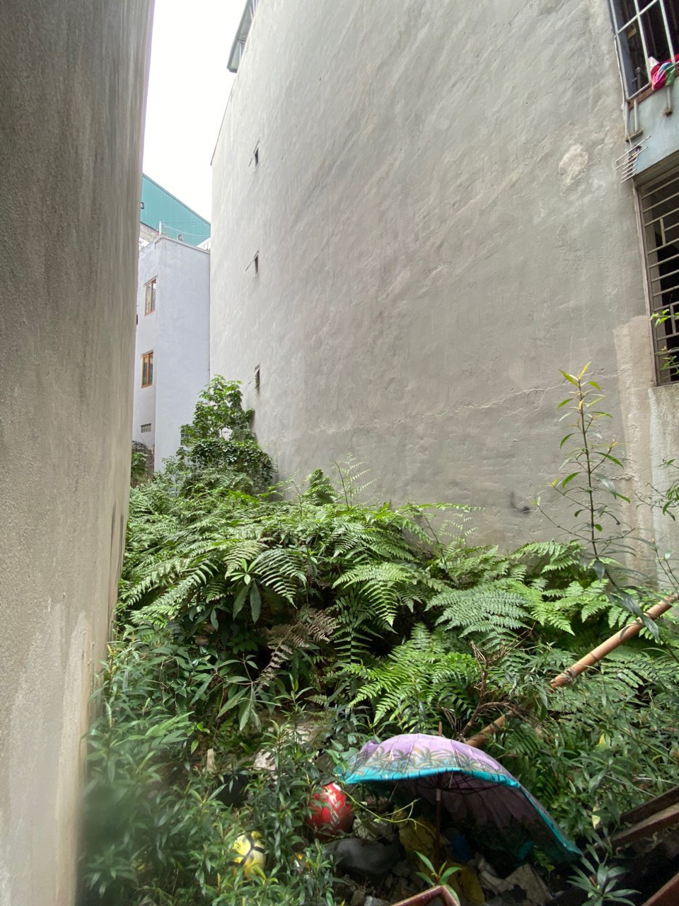 z5241109015443_7fa2e4177a3e9841ddedcf12b2743dac