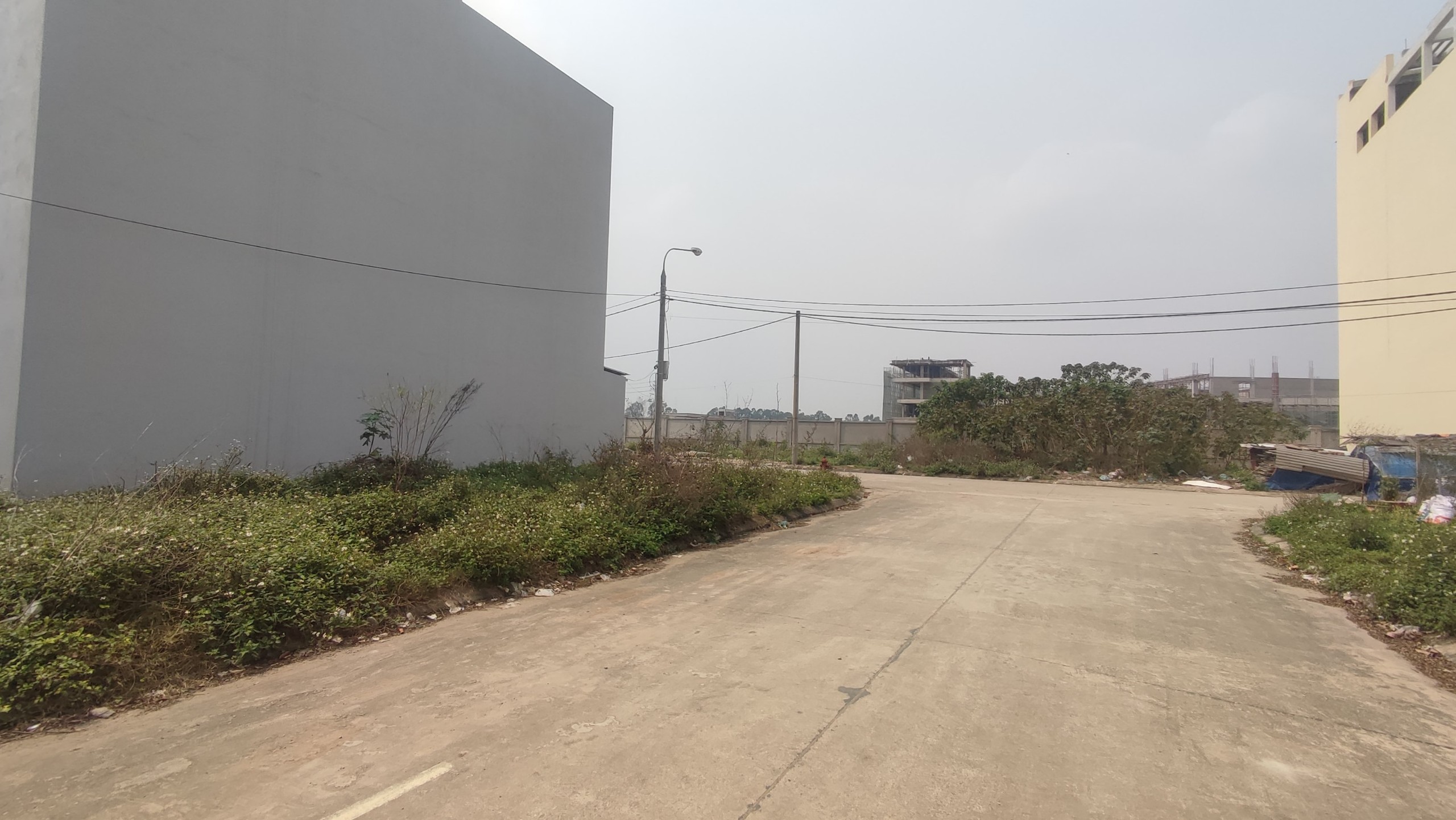 z5241174949676_91602f4e4c1c33c2ae3ca8baf0031a1e