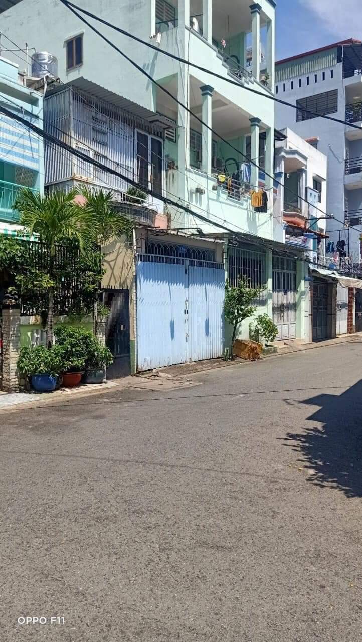 z5241518062219_7263931dd66fc95816c3982c5d52b466