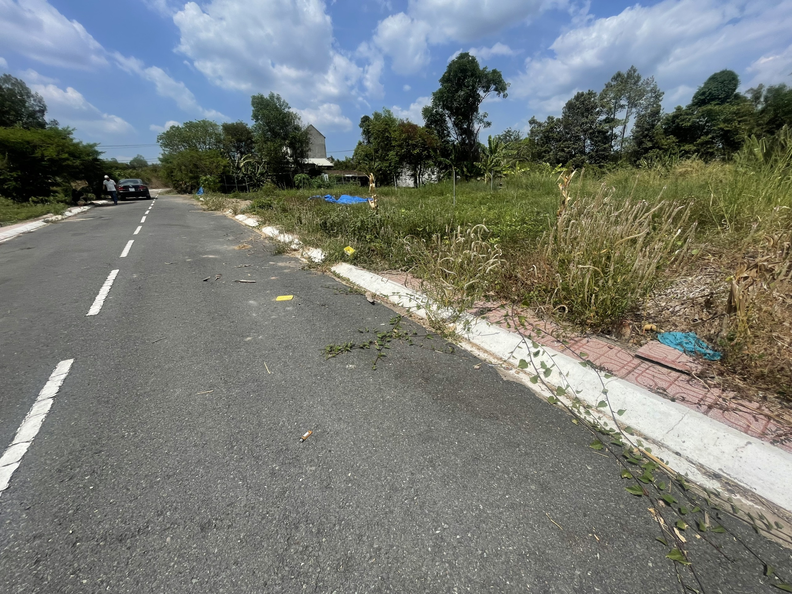 z5241570206258_9bb2e4299e1284f019b5acafeb4e6975