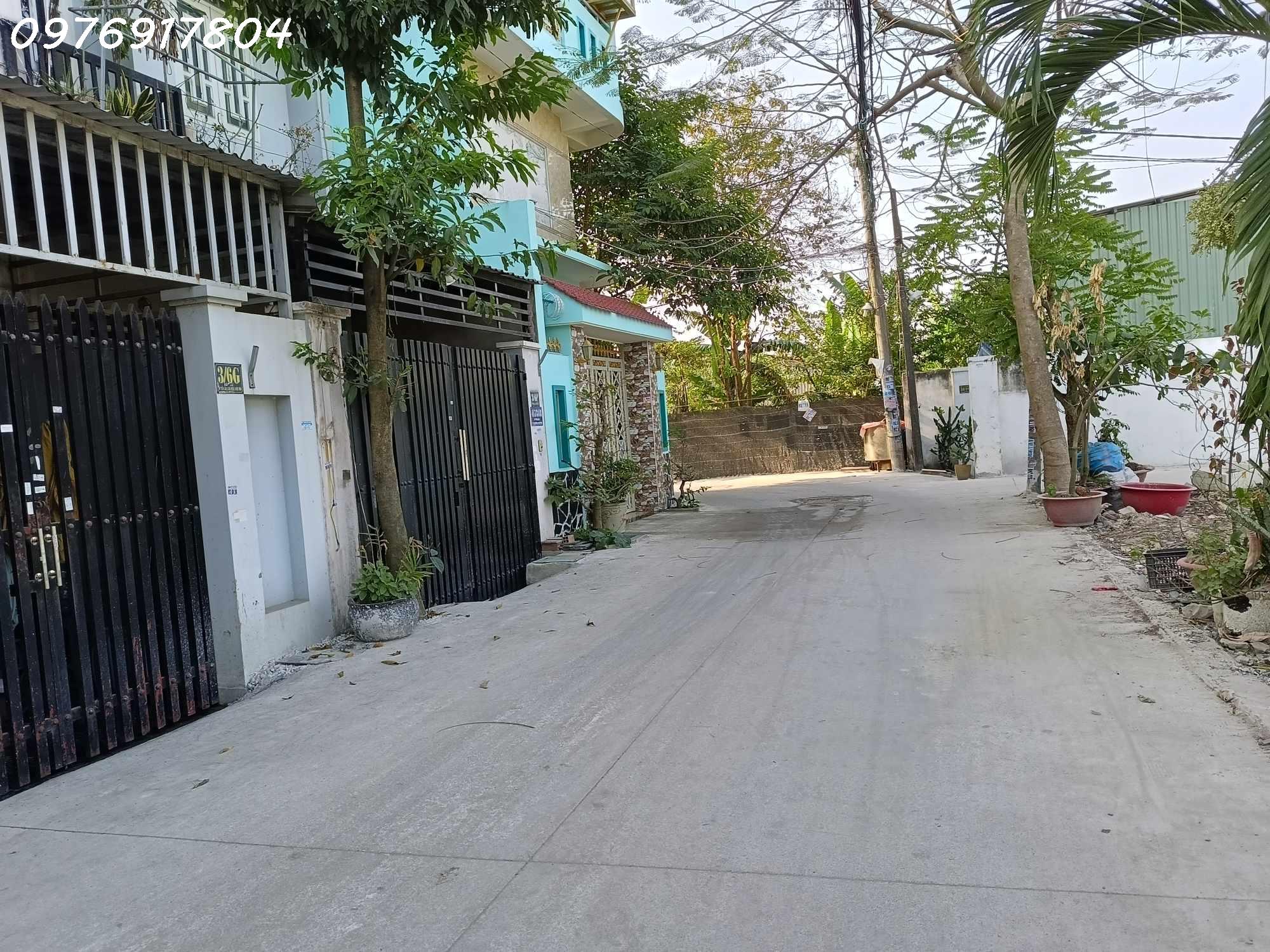 z5241905406710_75b200bf14fc1ce1000d4f781a3056e3