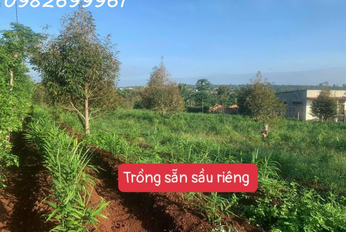 z5244260607617_0cd4be9457f8904e1469008ddcd73598