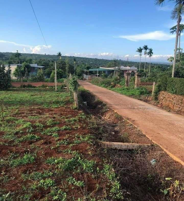 z5244260617870_495bc7bff9aba3a6d048610fa612ceb0