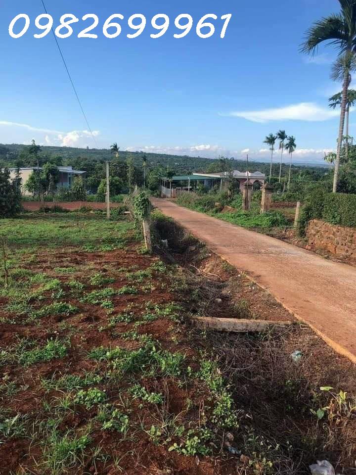 z5244260617870_495bc7bff9aba3a6d048610fa612ceb0