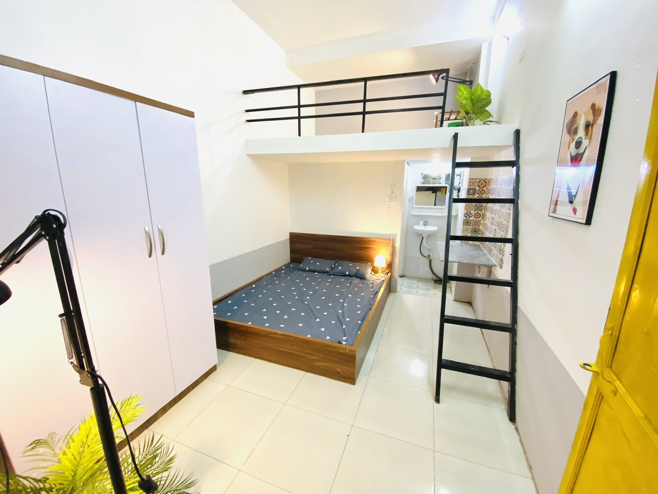 z5245046662030_e8e02ee44a21a07b57178d6cae2e6d23