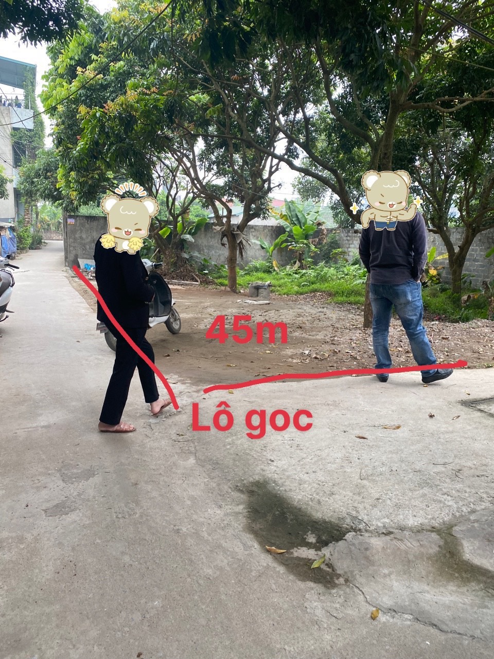 z5245631524040_62627e8a744a869beedc9d3ae11d3372