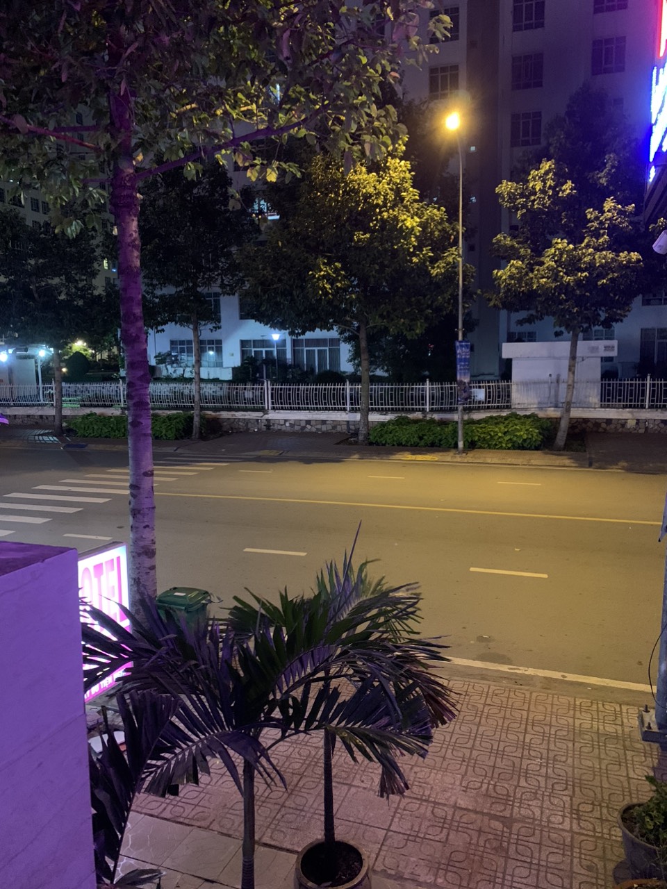 z5247804556827_c498b098a8733312ee1a481a8c472183