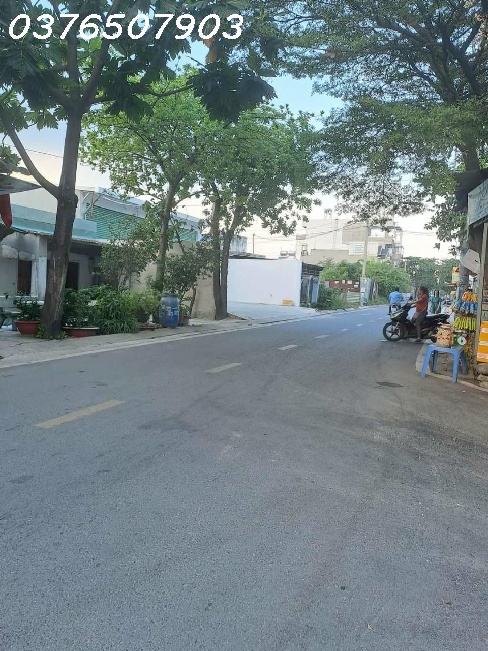 z5248357849663_bd6aa4c5fef409e8c5b9add689f86c24