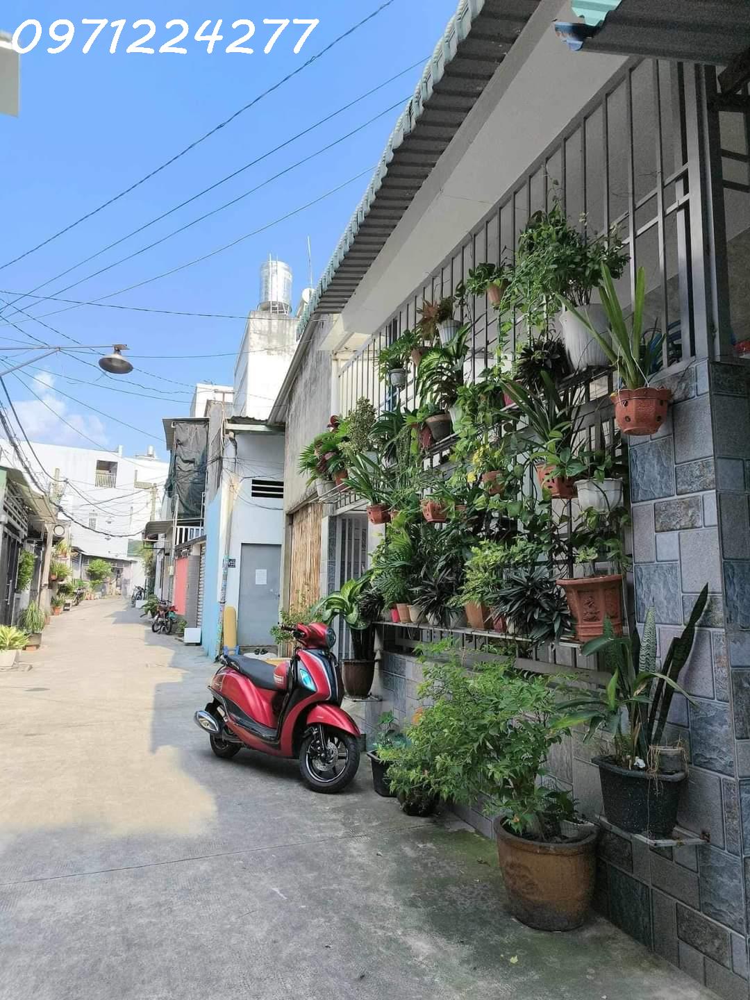 z5248998687273_dd916a3a1439c103fd8220c30aee7839