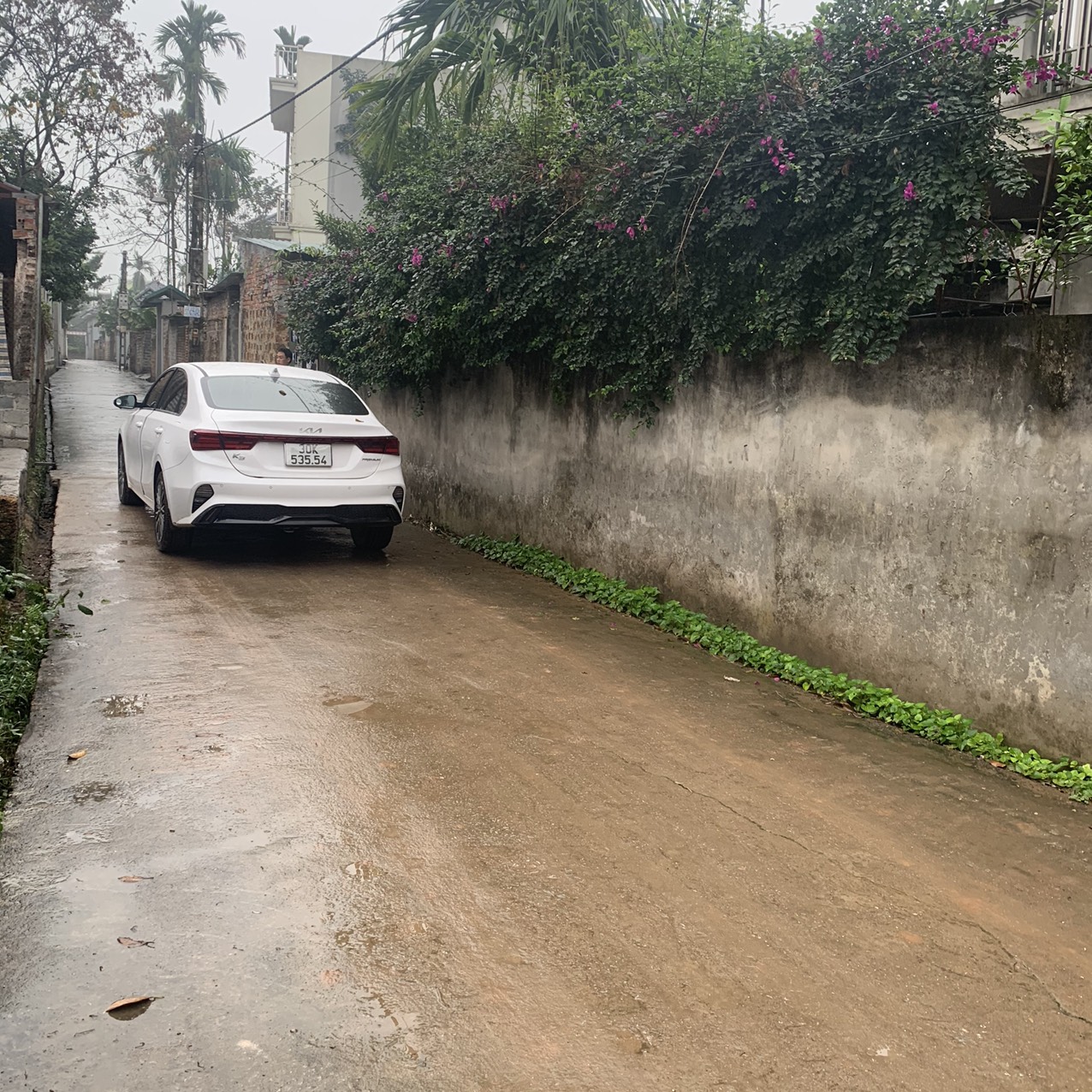 z5250528824531_b443a8c36e8bbbf380fd715f2794b5c1