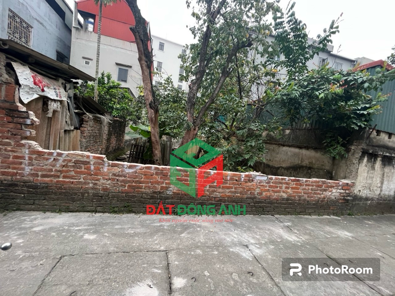 z5250599424037_385491338233a503db6d27339f672c06