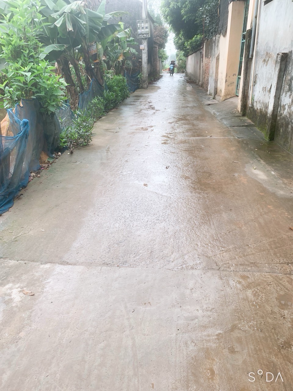 z5253975389281_1e86ef354f4a84f0be5063dd6df9cb61