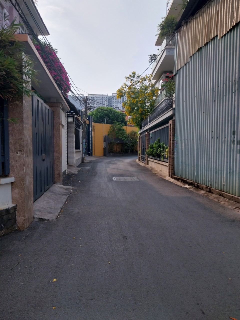 z5255632750095_8e57ee6be44b7d90f1d6cd0313ecd0d6