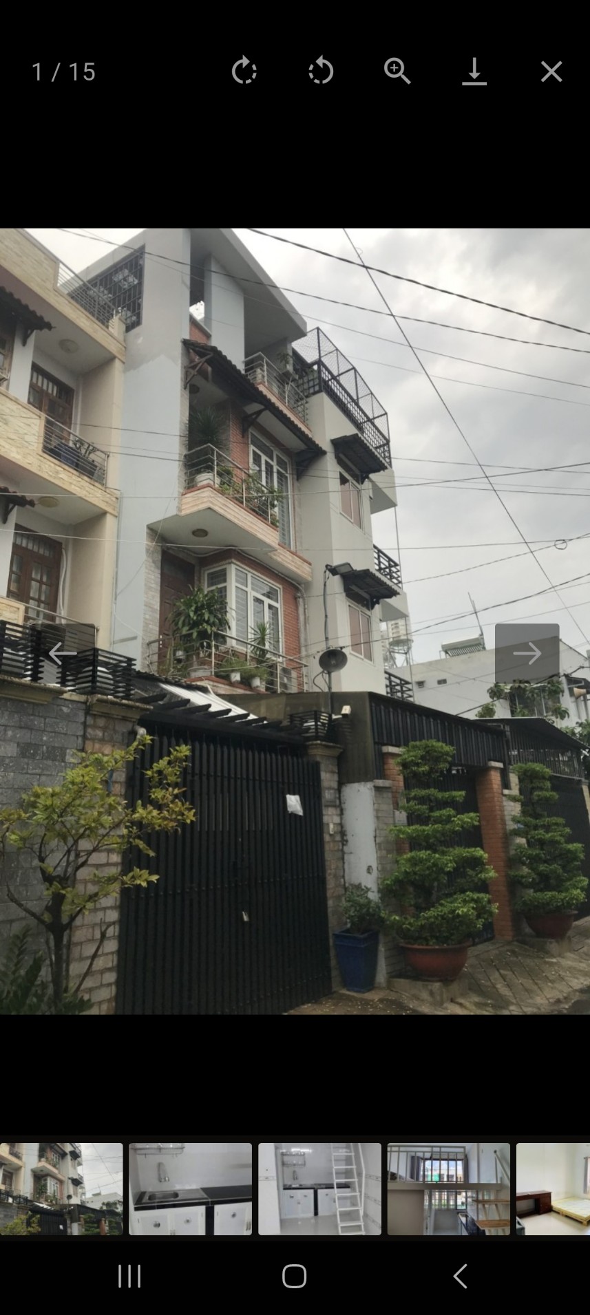 z5255905578454_4b355f5c4bdf28f7b13974b422263858