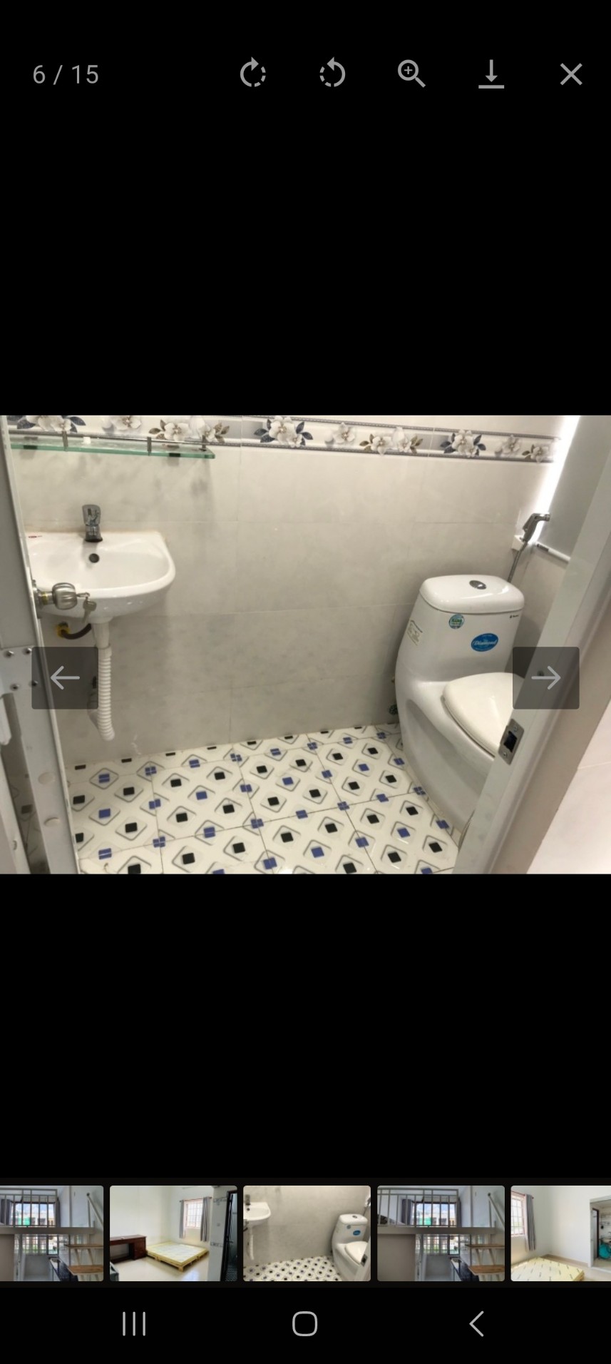 z5255905598360_8f7c9a2b50cf564fde9c88d38183c772