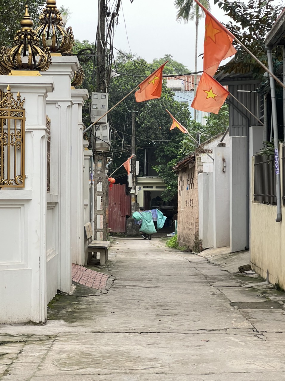 z5258536752320_f445a50efb9b6ac8d9df49efcc36d838