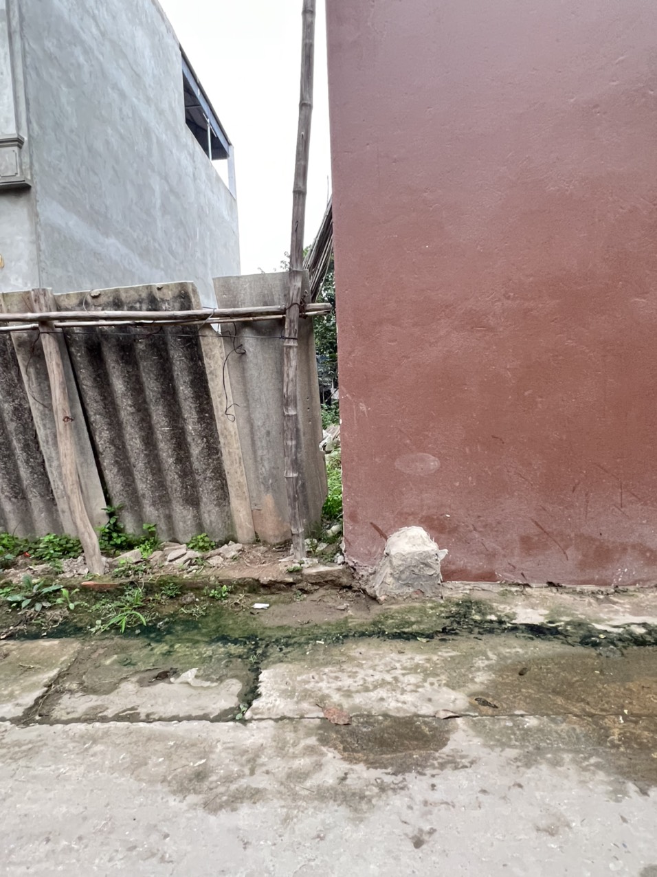 z5258536758316_0fc25dff9181e6fa152c5d578b6ba4ac