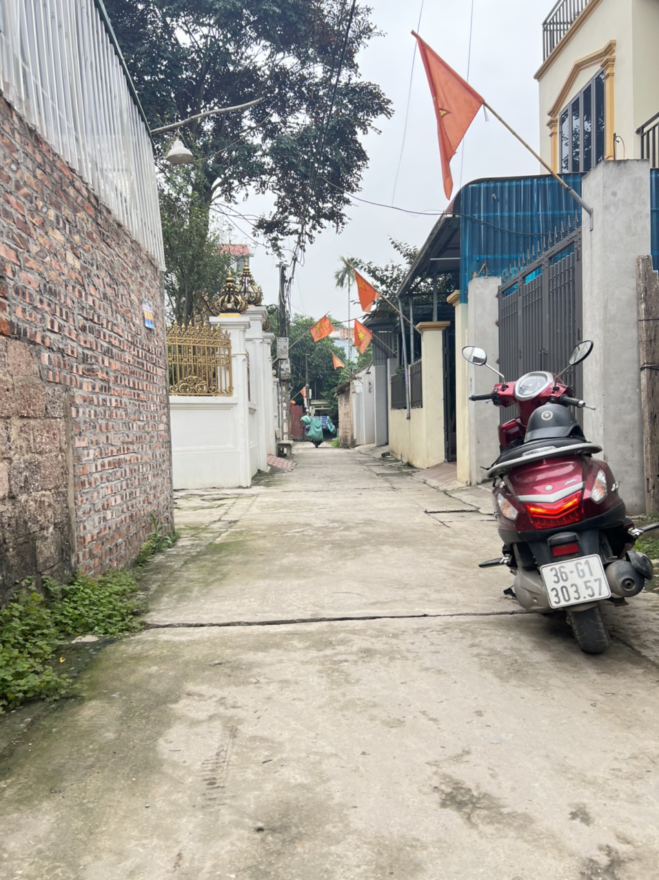 z5258536767113_95ac8697979213bf57bf05d7f80f9f73