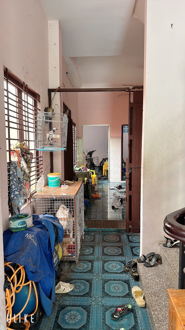 z5259720108206_585ab9c17eaf111a738938b6c278d347