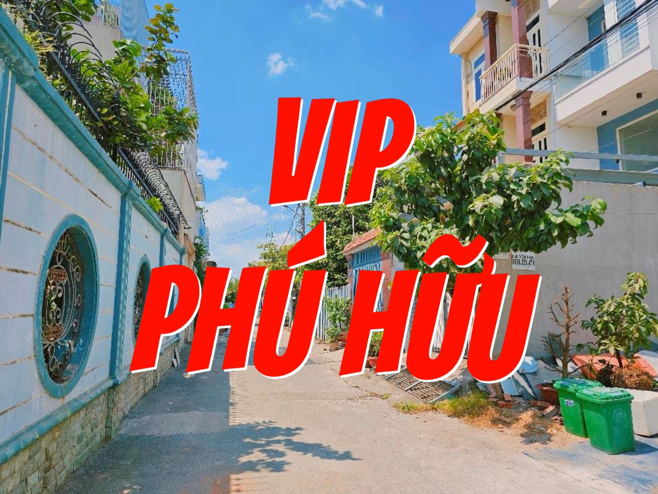 z5259787891625_af31e237df420a66f22c1f7df5a48e3d