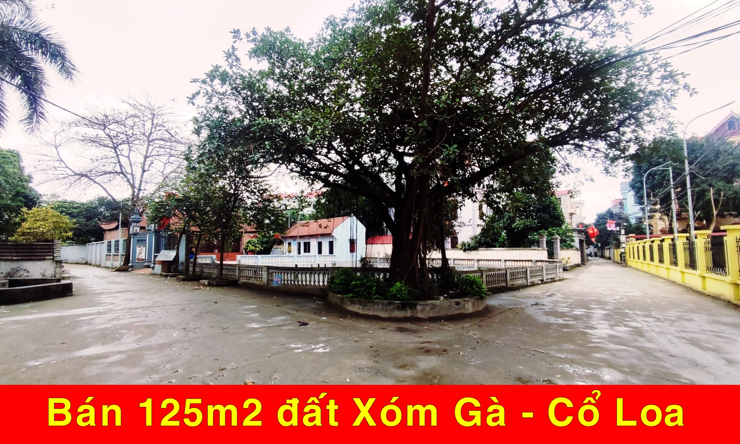 z5260166077762_7d4c58c1f2afa35cb658d9b9dc359b16