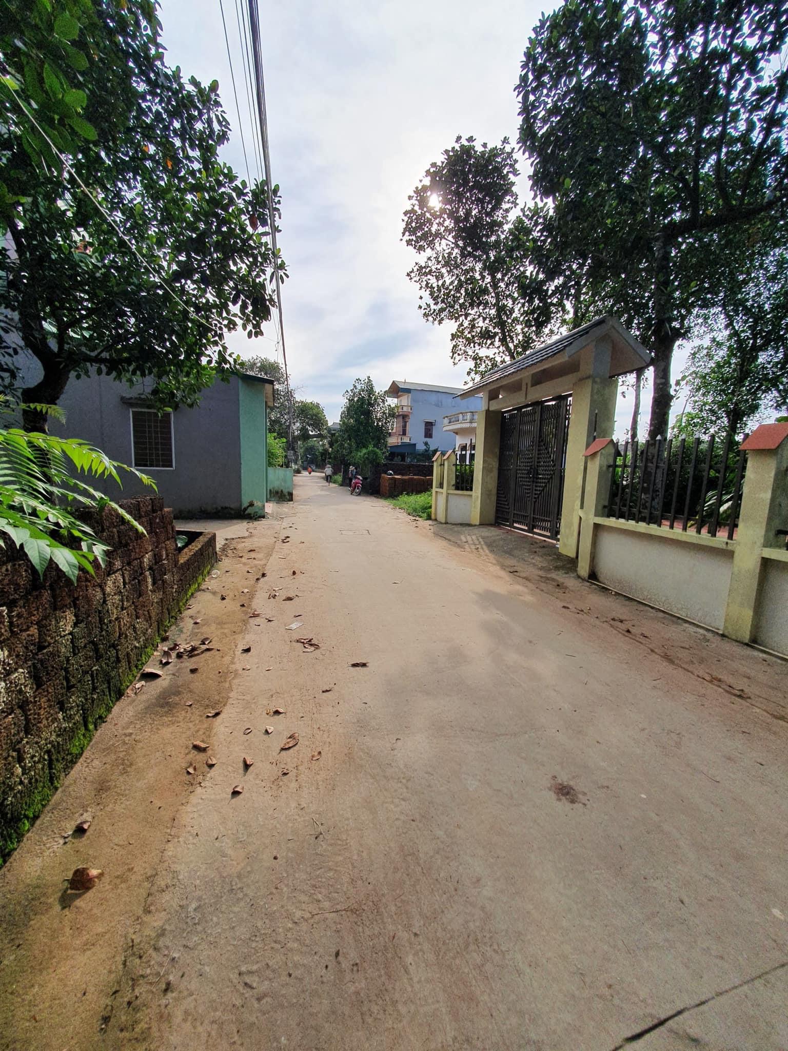 z5260499505459_7bb737aee37706bcef2805ebbfda7b0b