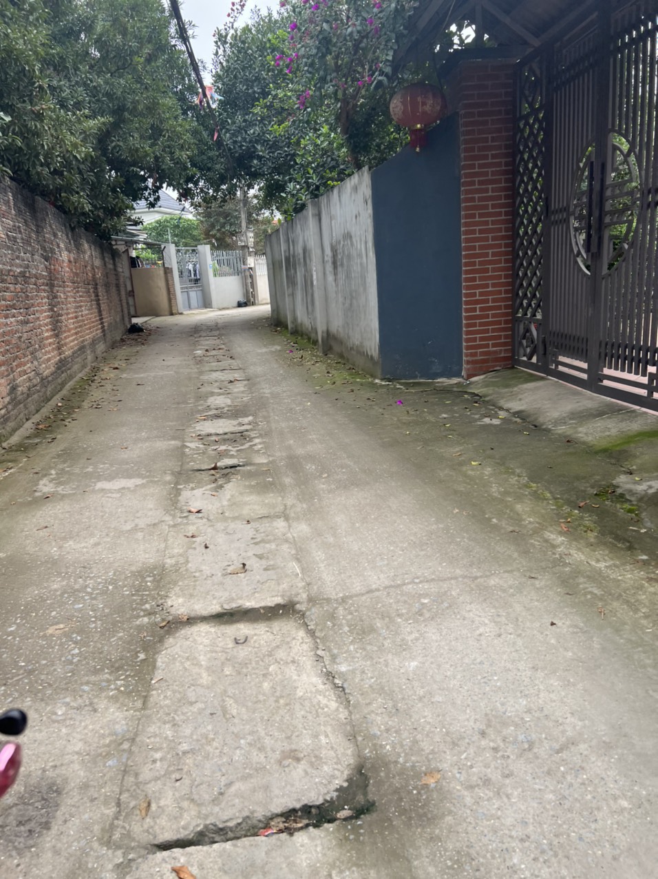 z5260974671639_59483dc5ccb04c6514a08142510d63a9